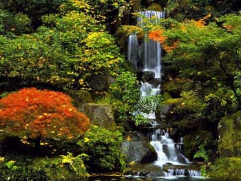 Breathtaking_Waterfalls_11